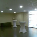 Hotel Eurostars 4*